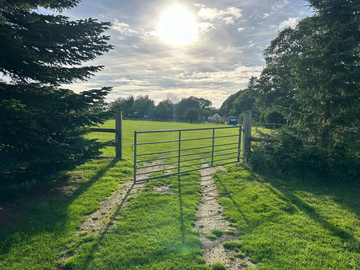 Field gate with evening sun over the camping field
