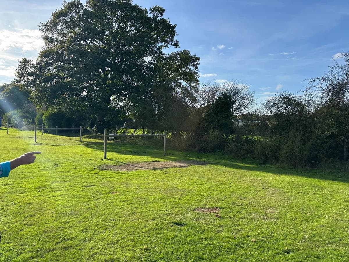 View across the pitches towards the tree line